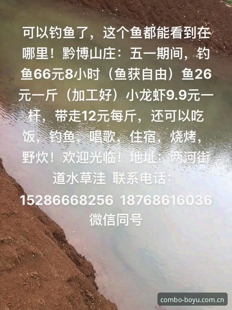 博鱼体育app体验 博鱼体育app体验真的能颠覆传统观赛模式吗?