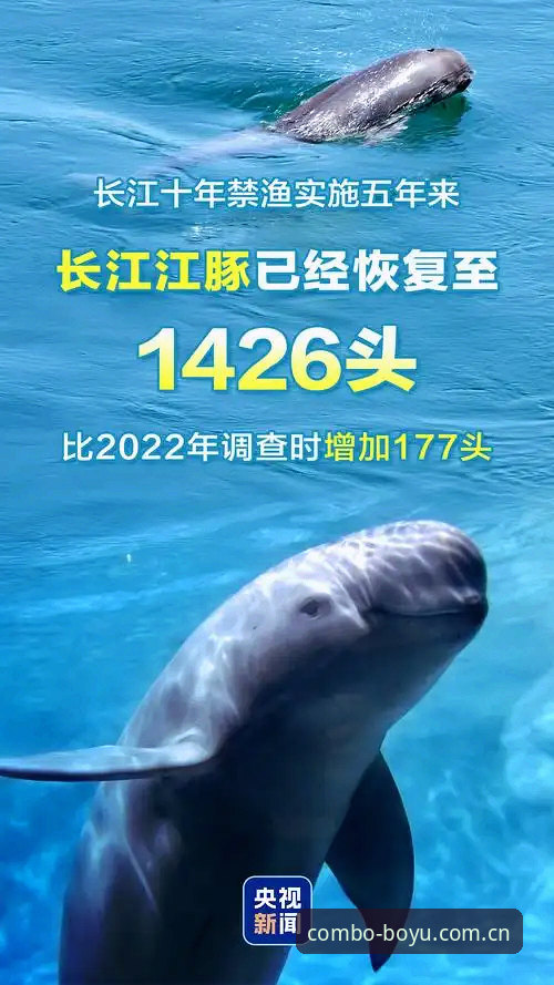 博鱼官方网站地址必备 如何快速锁定博鱼官方网站地址必备指南?2025体育赛事平台新体验全解析
